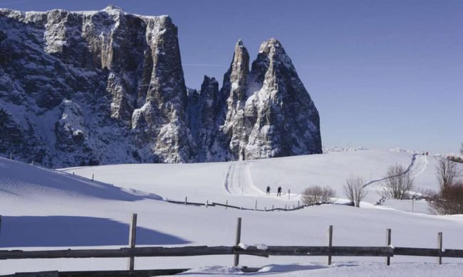 Cross-country ski Special
