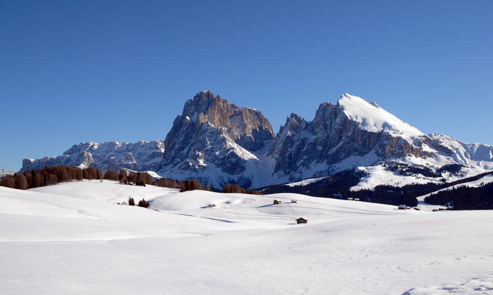 Divertimento invernale nella neve in una vacanza di coppia