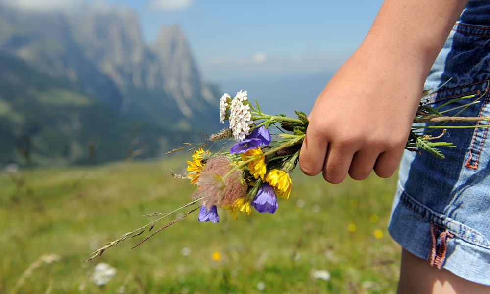 A summer holiday on the Seiser Alm: also a culinary highlight