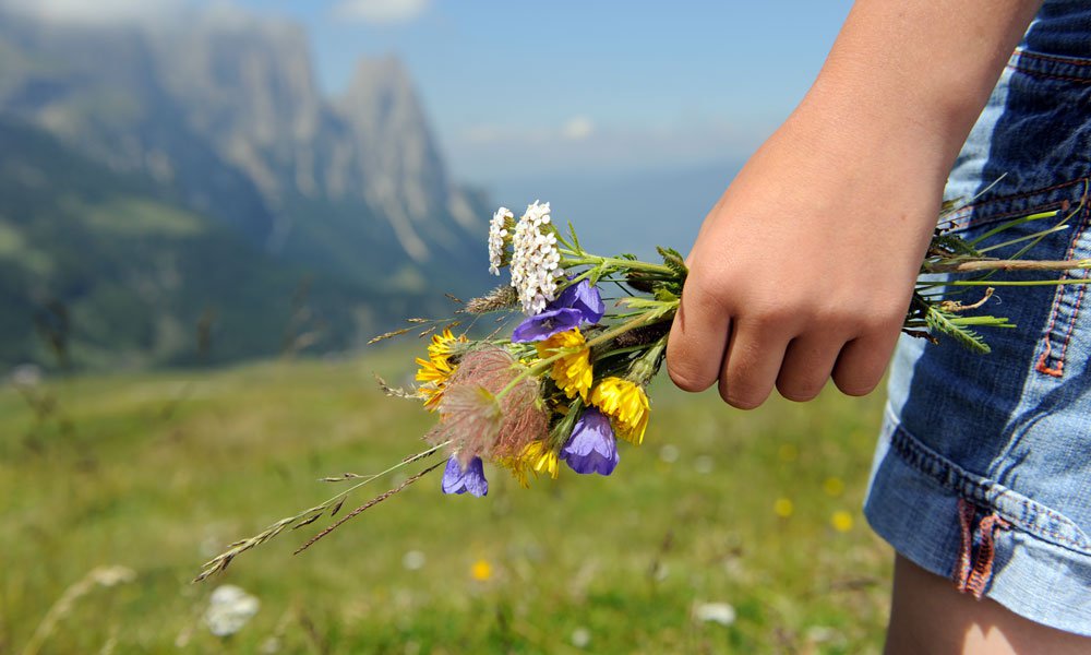 Un’attrazione anche dal punto di vista culinario: vacanza estiva sull’Alpe di Siusi