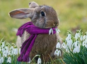 Ein glückliches Osterfest allen unseren lieben, treuen Gäste und Besucher der Seite.